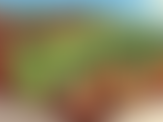 🌱 A természetes növénytársítások ereje – amikor a kert közösséggé válik 🌱