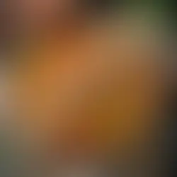 Almás-sárgarépás csirkemell zöldségágyon