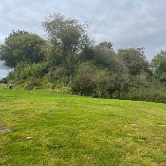 Ballymalady Motte