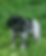 20230512_135426_edited