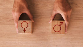 Crossing Gender Boundaries: How Social Media Reshapes Workplace Networks and Drives Job Satisfaction