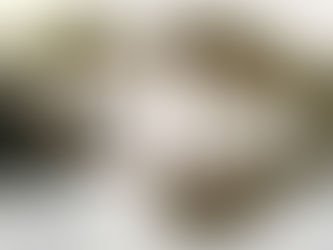 AI as Augmentation: How Human Capital Shapes Technology's Impact on Productivity and Inequality