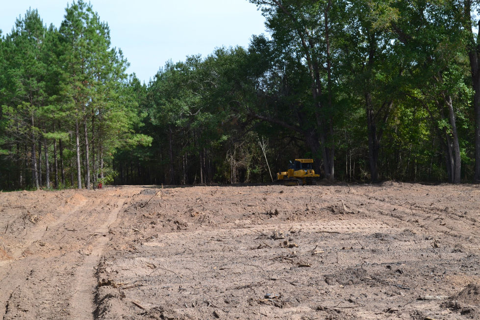 DSC_8126