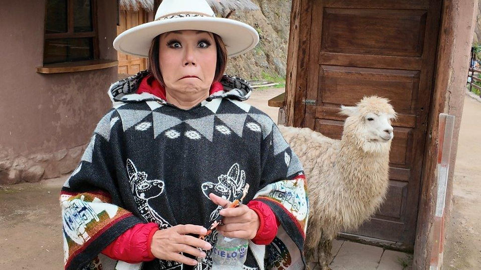 Pookie with Alpaca