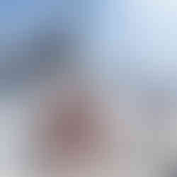 Friends chilling in the sun