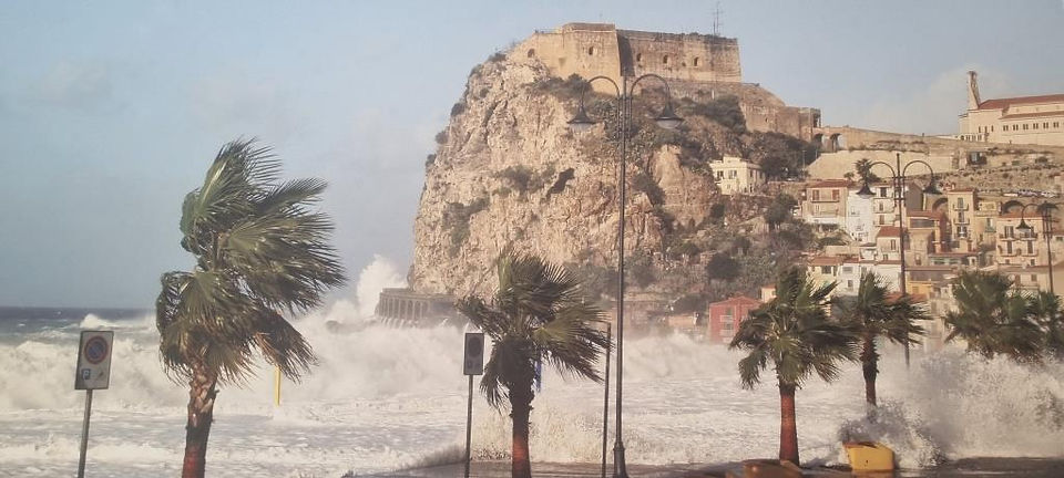Heath & Pookie in Scilla