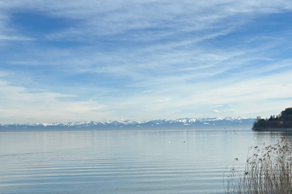 Calm lake with distant snow-capped mountains under a blue sky. Reeds in the foreground, with tranquil, serene atmosphere.