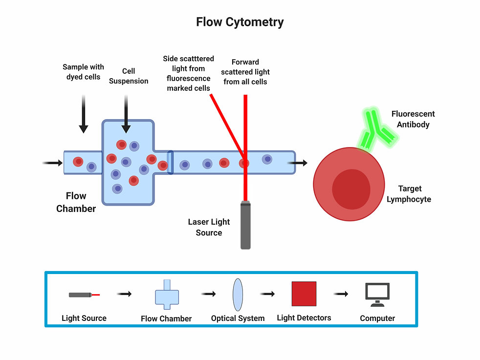 Flow Cytometry.jpeg