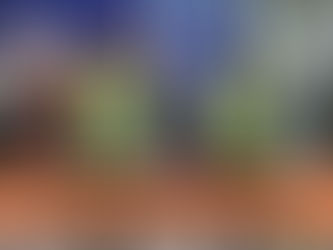 VĆDEOS INFANTIS NO TIKTOK ALIMENTAM PORNOGRAFIA NO INSTAGRAM E ABREM PORTAS PARA CRIMINOSOS