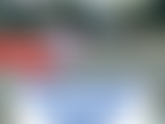 ANIMAIS SOLTOS EM VIA PĆBLICA CAUSAM TRANSTORNOS E CONFIGURA CRIME DE MAUS TRATOS EM MIRAĆ POR NEGLIGĆNCIA