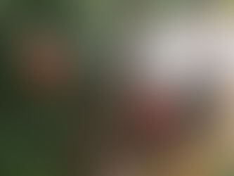 PESCADOR ENCONTRA CORPO BOIANDO NAS ÁGUAS DE RIO EM MURIAÉ