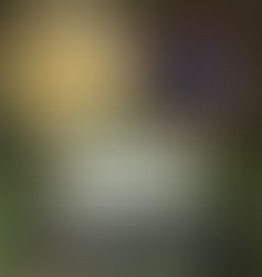 PROTEÇÃO INFANTIL: A IMPORTÂNCIA DE IDENTIFICAR E DENUNCIAR A VIOLÊNCIA SEXUAL CONTRA CRIANÇAS E ADOLESCENTES