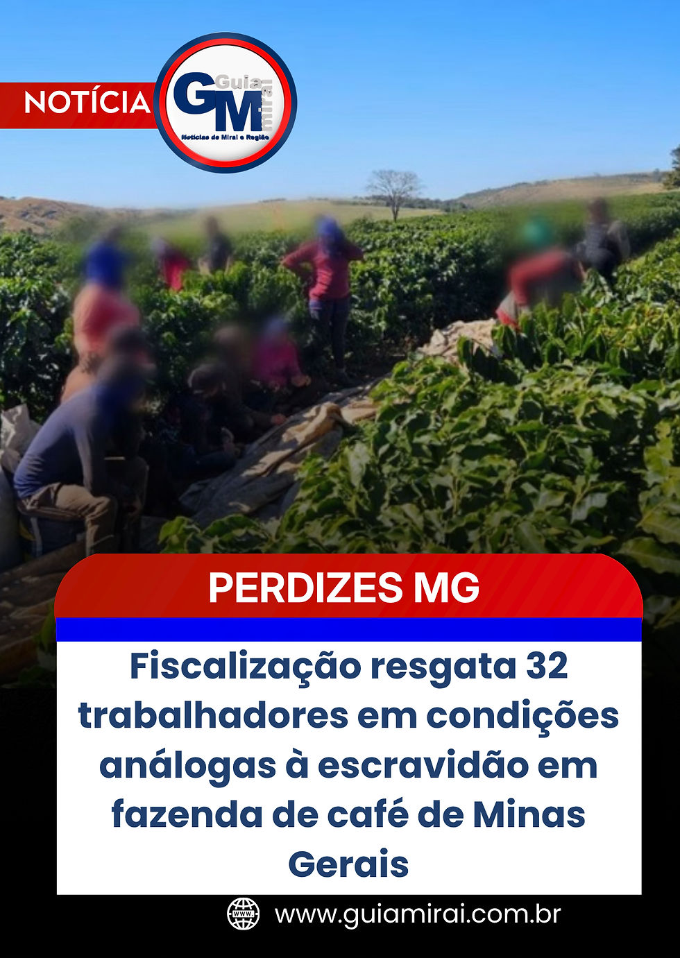 Fiscalização resgata 32 trabalhadores em condições análogas à escravidão em fazenda de café de Minas Gerais
