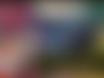 MORRE WILSON ANCELMO ALONSO, MIRAIENSE QUE SOFREU ACIDENTE NA RODOVIA BR-120