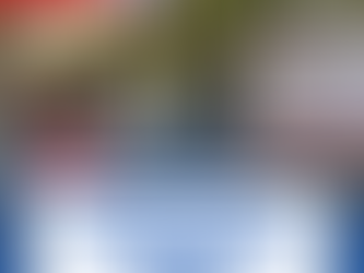 PREFEITURA DE UBÁ REALIZA LEILÃO DE ANIMAIS APREENDIDOS EM VIAS PÚBLICAS