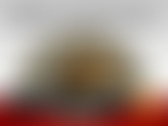 FEBRE OROPOUCHE ASSUSTA: CASOS SALTAM 77% EM DUAS SEMANAS EM MG, E CIDADE TEM 96 DIAGNÓSTICOS