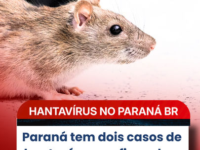 Paraná tem dois casos de hantavírus confirmados; outros 11 são investigados