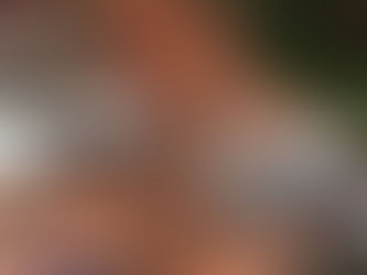 Governo federal anuncia auxílio de R$ 800 por pessoa desabrigados em Minas Gerais