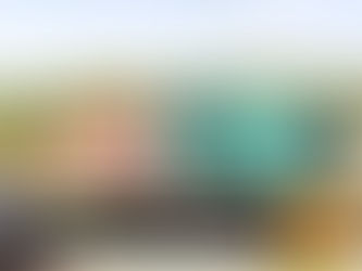 ASSEMBLEIA DEBATE RETOMADA DAS FERROVIAS DA ZONA DA MATA