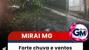 Forte chuva e ventos derrubam árvore e provocam curto na rede elétrica em Miraí