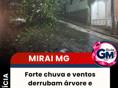 Forte chuva e ventos derrubam árvore e provocam curto na rede elétrica em Miraí