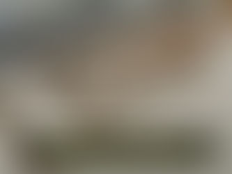 PESQUISA REVELA CAUSAS E RISCOS DA PROLIFERAÇÃO DE ESCORPIÕES NA REGIÃO