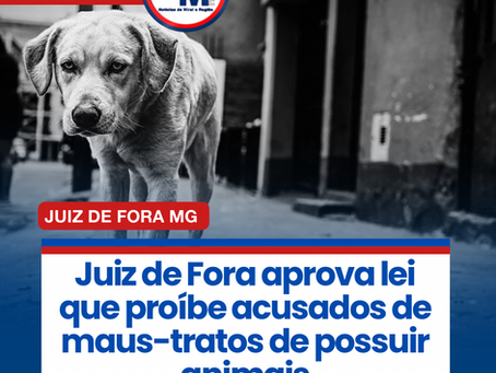 Juiz de Fora aprova lei que proĆbe acusados de maus-tratos de possuir animais