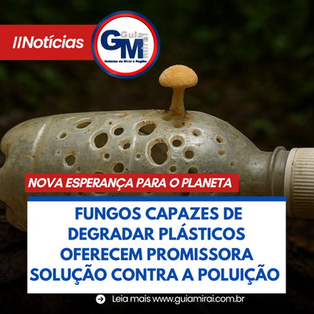 NOVA ESPERANÇA PARA O PLANETA: FUNGOS CAPAZES DE DEGRADAR PLÁSTICOS OFERECEM PROMISSORA SOLUÇÃO CONTRA A POLUIÇÃO