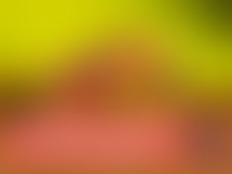 FEBRE OROPOUCHE: EXPLOSÃO DE CASOS EM MINAS GERAIS