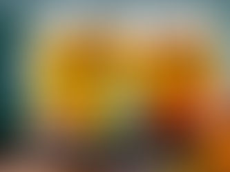 LEI SECA NAO SERÁ APLICADA NAS ELEIÇÕES MUNICIPAIS EM MINAS GERAIS