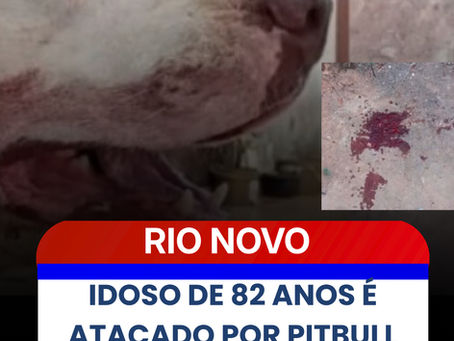IDOSO DE 82 ANOS É ATACADO POR PITBULL EM RIO NOVO E TUTOR É PRESO EM FLAGRANTE
