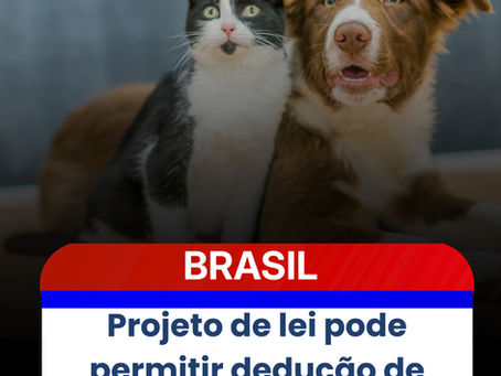 Projeto de lei pode permitir dedução de gastos com pets no Imposto de Renda