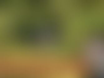 RAPAZ QUE ESTAVA DESAPARECIDO É ENCONTRADO MORTO PRÓXIMO A AURORA