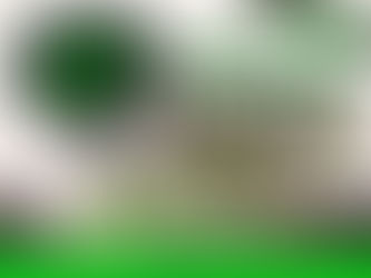 VOCE QUER FAZER MUSCULAÇÃO COM ACOMPANHAMENTO PERSONAL?