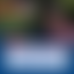 Mulher é condenada a 17 anos por planejar morte de caseiro e de herdeira por disputa de propriedade em Muriaé