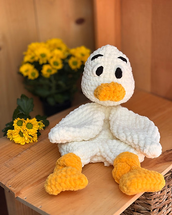 Duck front.JPG