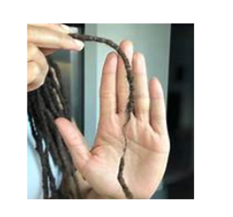 Screenshot 2025-09-29 133900_edited.png