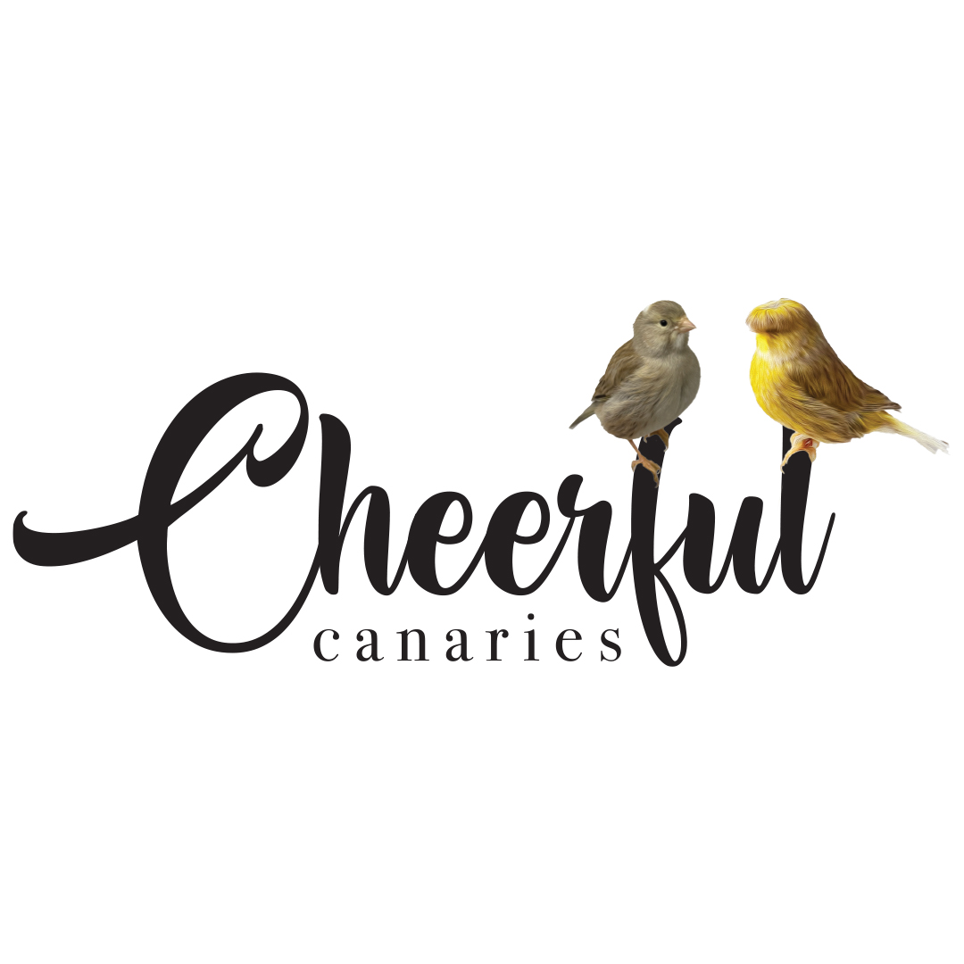 Cheerful Canaries logo