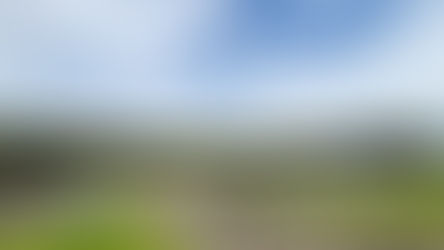 第3回 Netz Cup(ネッツカップ)