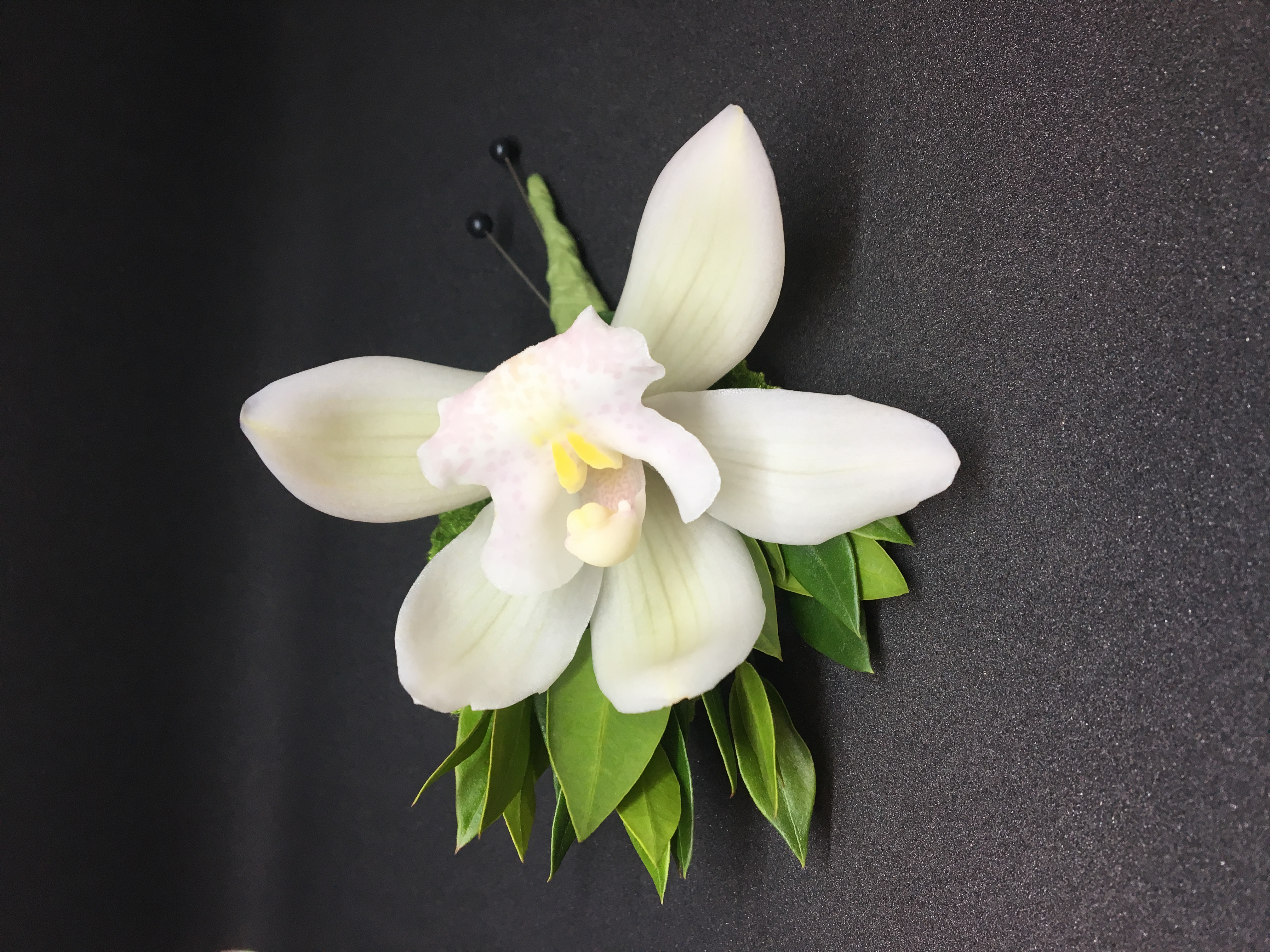 Cymbidium Boutonniere with Ruscus