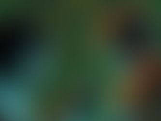 數字教育賦能中文學與教:釋放空間,提高效能