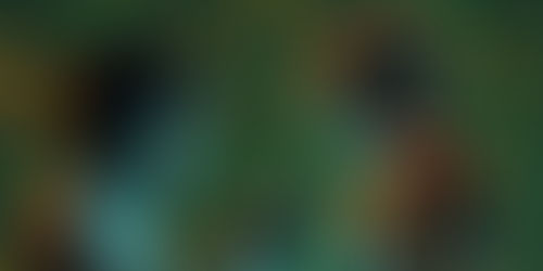 數字教育賦能中文學與教:釋放空間,提高效能