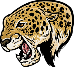 cheetahTB-01.png