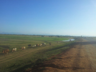 May Newsletter - Trip Report