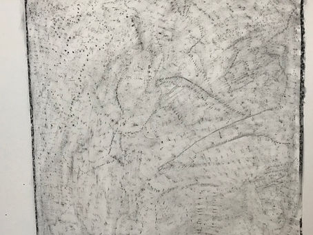 Pareidolia and imagination with Martin Brooks