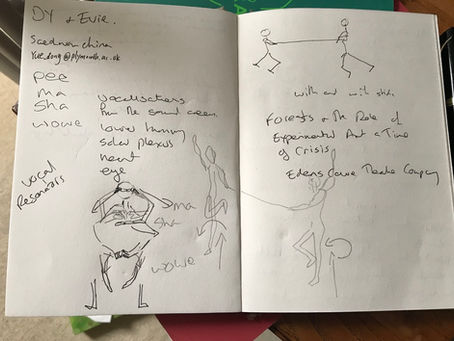 Edens Cave / Forest Workshop Experimental Art a Time of Crisis