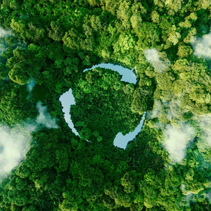 How the World is Changing with Sustainable Packaging