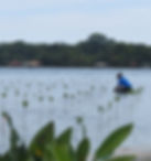 Islote las Delicias Bocas del Toro