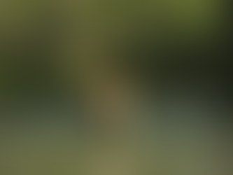 Spring Fishing is Here: Why Now is the Best Time to Gear Up with Asher Rod Lockers