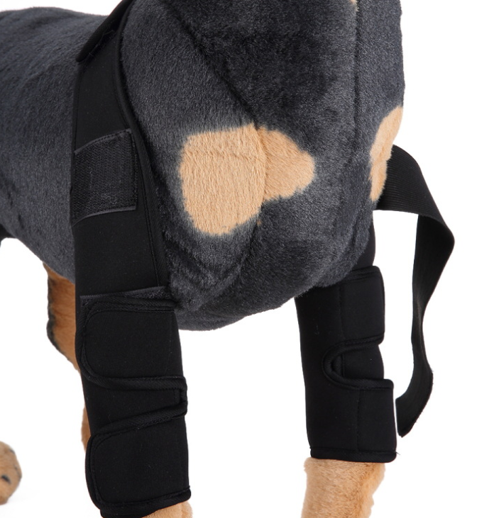 Thumbnail: Dog Knee Brace and Leg Protector for Injury Recovery